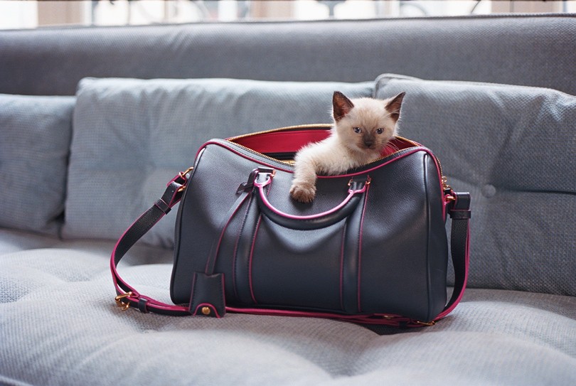 Shoes & Bags Blog. Сумки от Louis Vuitton и Софии Коппол...