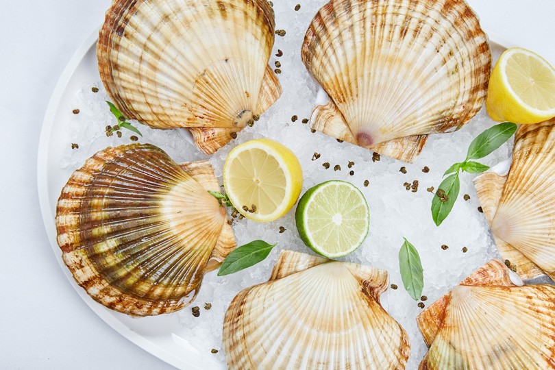 Гастролайфхак: морепродукты за полцены в Le Restaurant