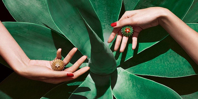 Часы & Караты: новая ювелирная коллекция Cactus de Carti...