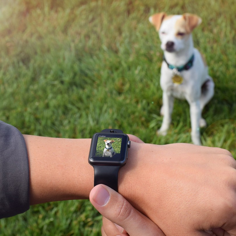 Механизмы: Apple Watch обзавелись двумя фотокамерами благода...