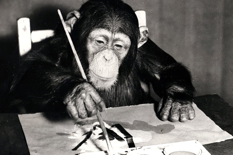 Персональная выставка шимпанзе, картины которого покупал Пик...
