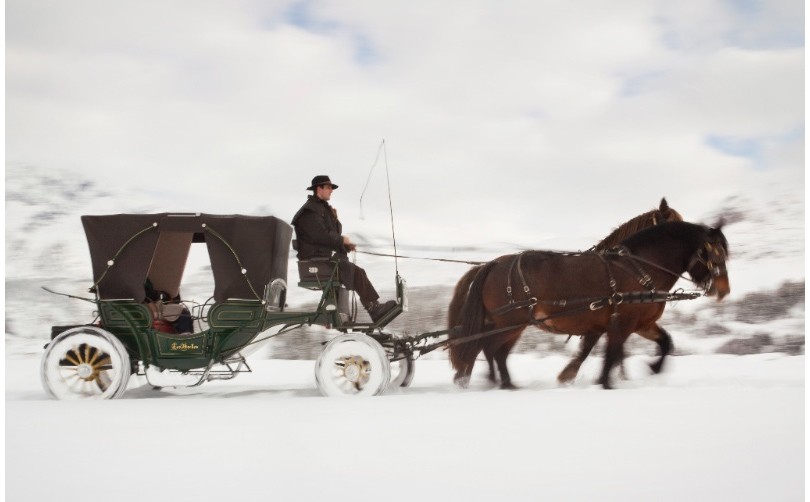 Travel News: прогулка в карете Hermès от отеля Les Airelles ...