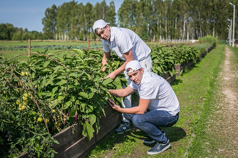 Международный фестиваль Garden: за чистый вкус
