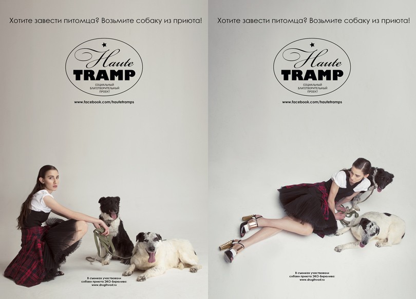Хорошие новости. Haute tramp: пес от кутюр