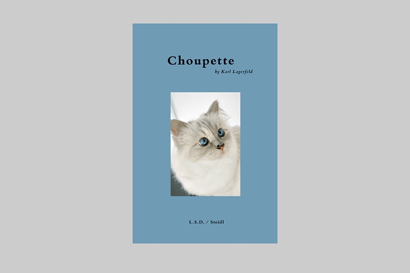 Идея подарка: книга о самой знаменитой кошке скоро в продаже...