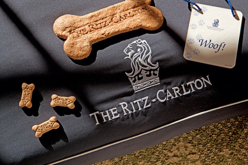 Идея дня. Дама с собачкой: отель The Ritz-Carlton принимает ...