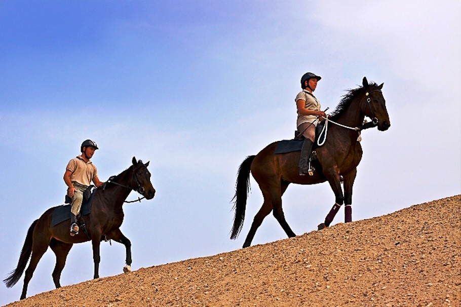 Новости: Катание на лошадях на острове Sir Bani Yas рядом с...