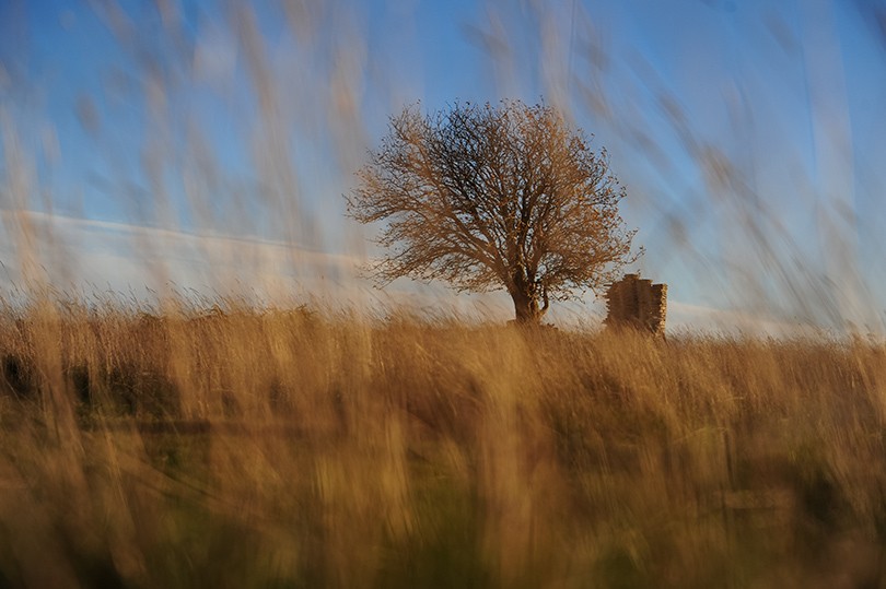 Art & More: за Тарковским — в Швецию. Интервью с фотогра...