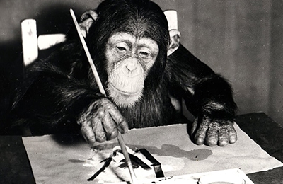 Персональная выставка шимпанзе, картины которого покупал Пикассо, пройдет в Лондоне