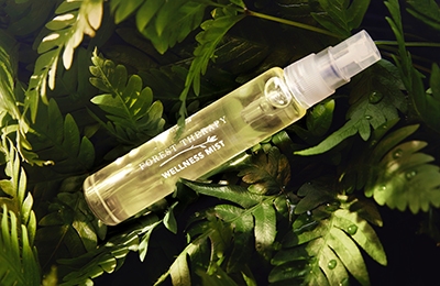 Шли бы вы лесом: как современные бьюти-бренды адаптируют древние японские практики