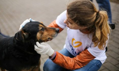 Анонс: 2 апреля — День добрых дел в Москве