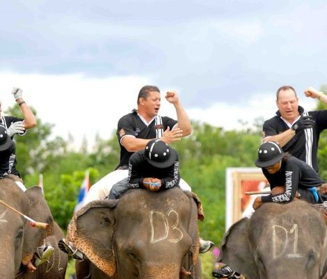 Идея дня: Заказ билетов на турнир Anantara King’s Cup Elephant Polo 2012