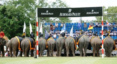 Идея дня. Поло слонов King’s Cup Elephant Polo в Тайланде