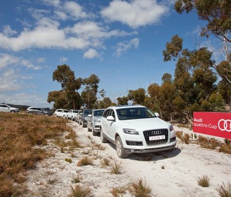 Идея дня. Гольф-турнир Audi quattro Cup