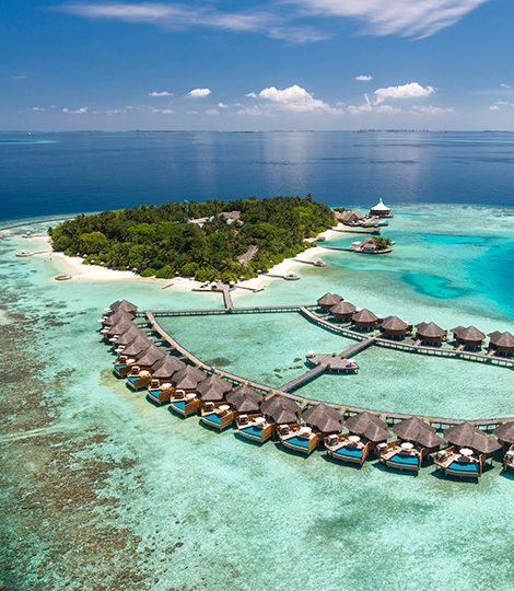 Куда поехать зимой: спасение рифов и погружение с акулами в отеле Baros Maldives