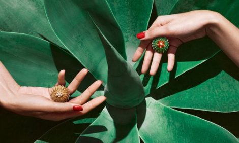 Часы & Караты: новая ювелирная коллекция Cactus de Cartier