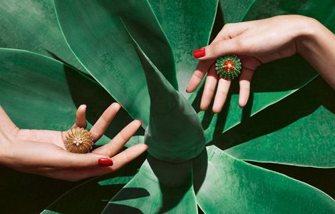 Часы & Караты: новая ювелирная коллекция Cactus de Cartier