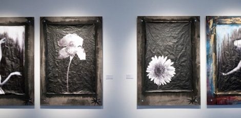 Выставка «Undamaged Blossom» в Gallery K35