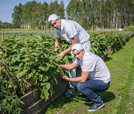 Международный фестиваль Garden: за чистый вкус