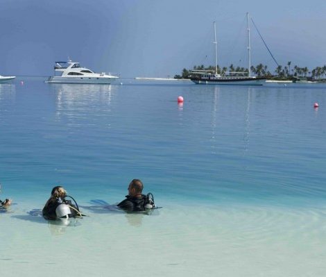 Новости: Секреты подводного мира с Conrad Maldives