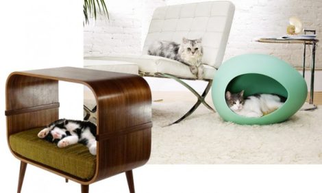 Дизайн & Декор: мебель для любителей кошек и собак
