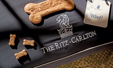 Идея дня. Дама с собачкой: отель The Ritz-Carlton принимает гостей с домашними животными