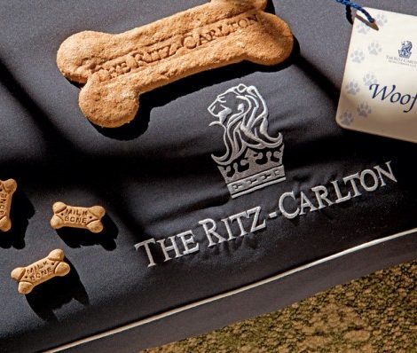 Идея дня. Дама с собачкой: отель The Ritz-Carlton принимает гостей с домашними животными