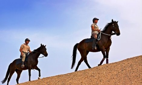 Новости: Катание на лошадях на острове  Sir Bani Yas рядом с курортом Desert Islands Resort & Spa by Anantara в Абу-Даби