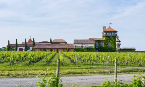 Travel Idea: фестиваль вина в Бордо в spa-отеле Les Sources de Caudalie