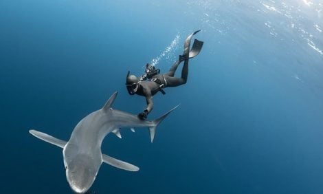 Буйль-Буйль! Мануфактура Ulysse Nardin объявляет о партнерстве со знаменитым подводным фотографом и фридайвером