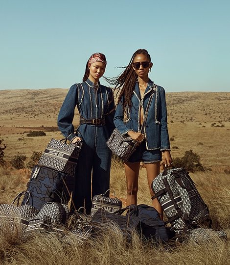 Shoes & Bags Blog: дама сдавала в багаж… чемодан и саквояж [от Dior]