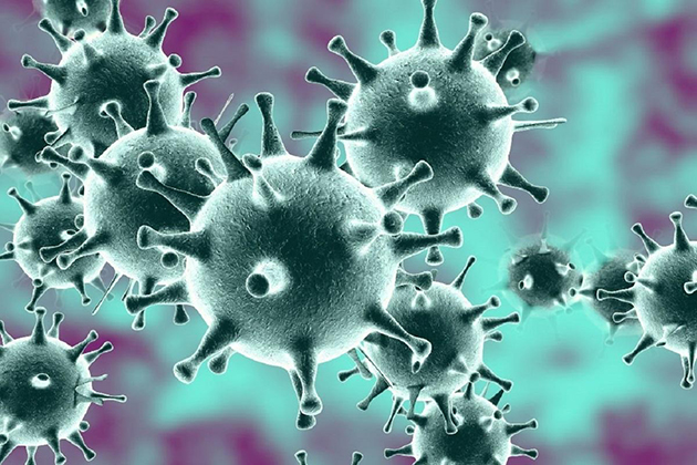 Как минимизировать риск заражения коронавирусом?