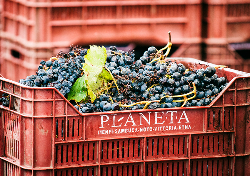 #PostaБизнес: in vino veritas – что думают производители вина из Италии, Великобритании, Испании и Уругвая о COVID-19