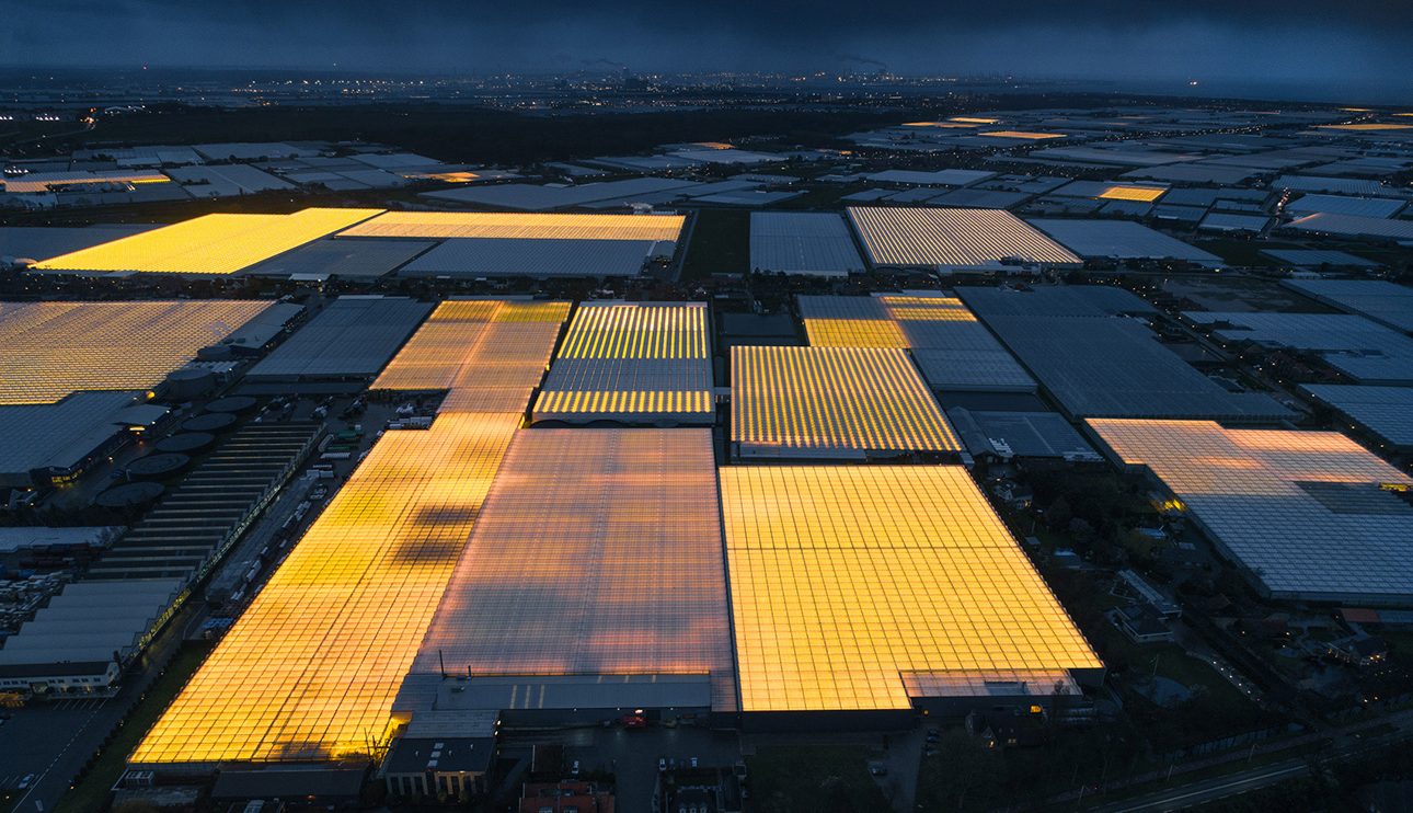 Фото дня: светящиеся теплицы в экопроекте нидерландского фотографа Тома Хегена