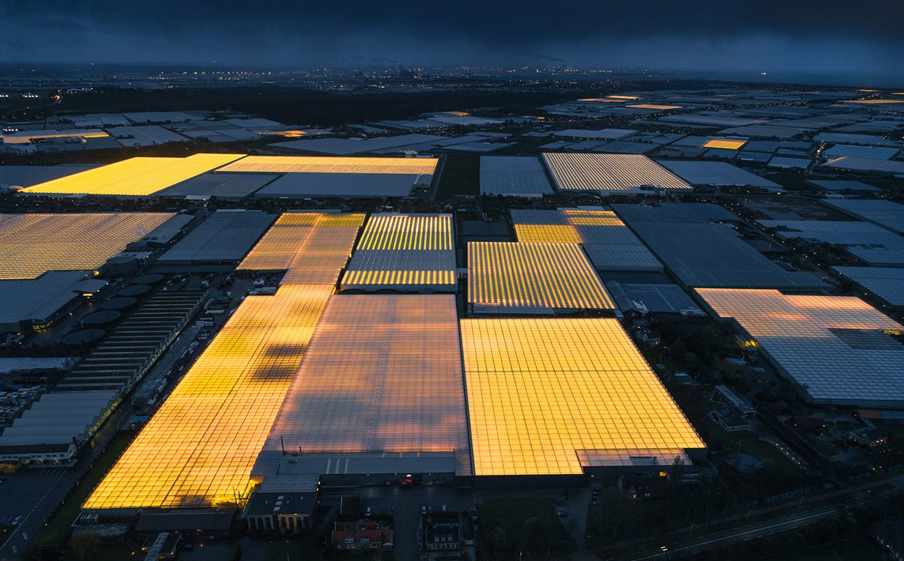 Фото дня: светящиеся теплицы в экопроекте нидерландского фотографа Тома Хегена