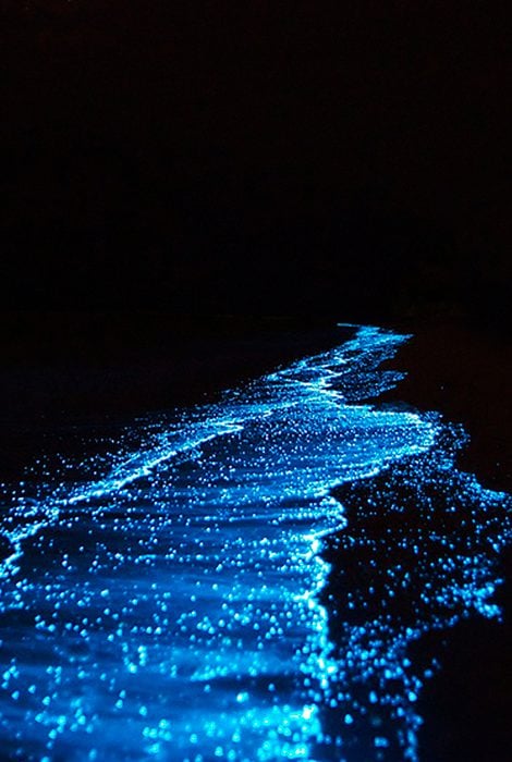 Сияние океана: фотограф заснял светящиеся волны в Калифорнии
