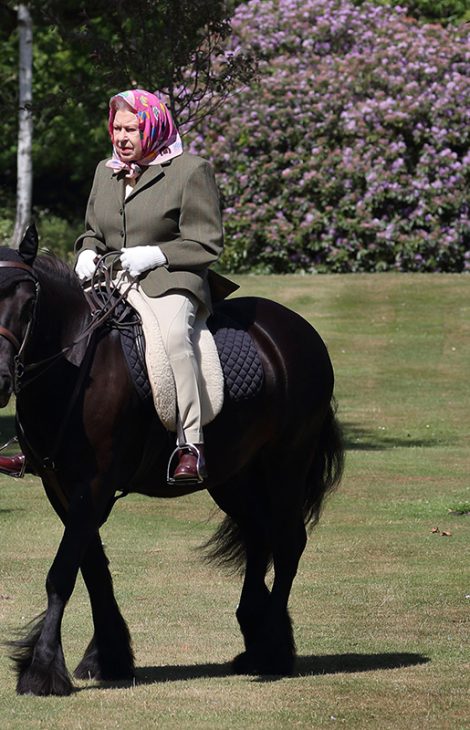 Фото дня: Елизавета II катается на пони в Виндзорском замке