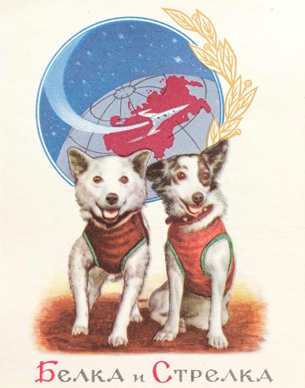 60 лет назад собаки Белка и Стрелка были отправлены в космос — и стали частью истории