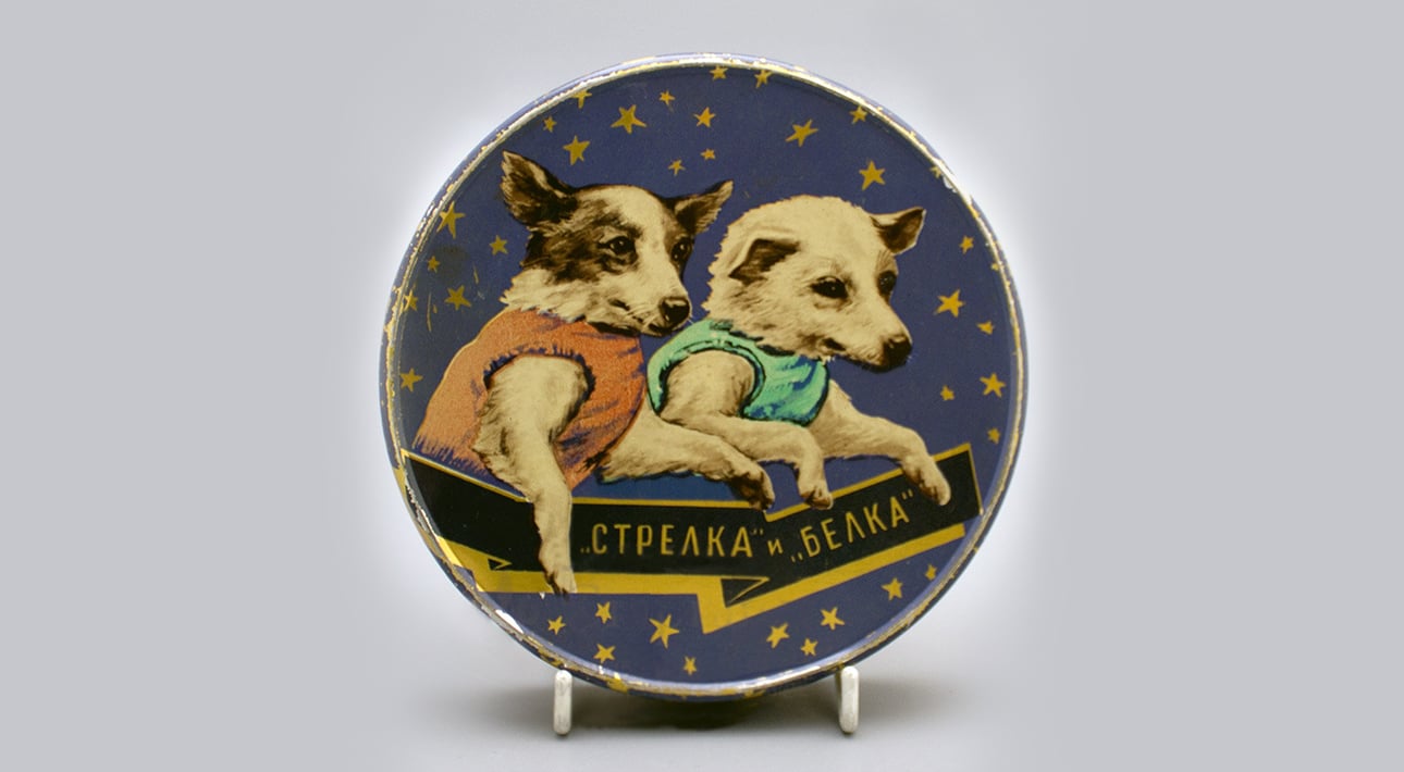 60 лет назад собаки Белка и Стрелка были отправлены в космос — и стали частью истории