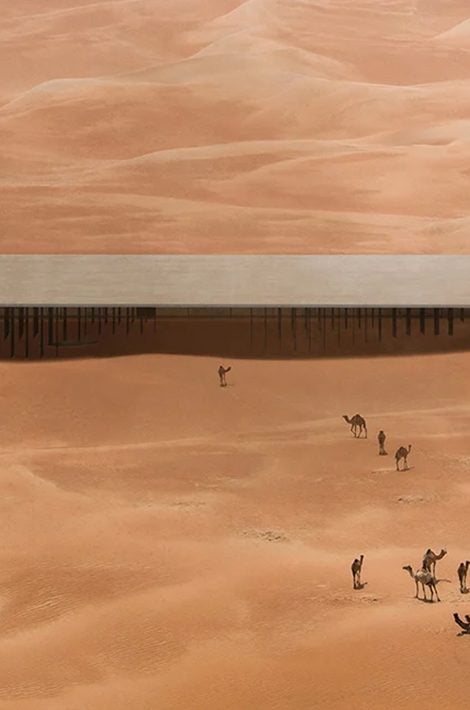 В конкурсе эколоджей для наблюдения за фауной пустыни в Абу-Даби победил итальянский проект