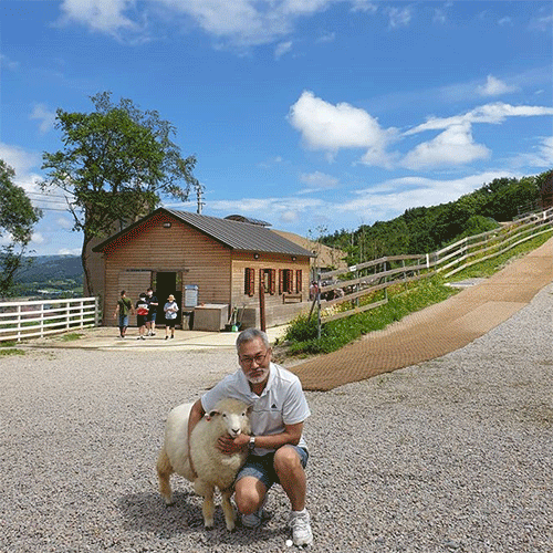 Thanks Nature Cafe: овцы и капучино — кафе-антистресс в Сеуле ждет гостей