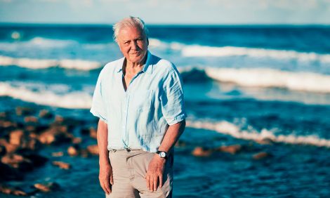 «Мир был бы лучше, если бы человека вообще не было»: Дэвиду Аттенборо — 95 лет