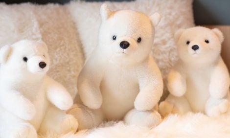 В отеле на Хоккайдо номера оформили в тематике белых медведей