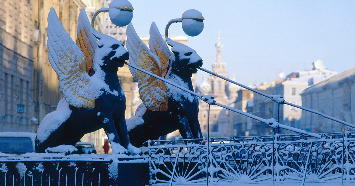 Питер Weekly: световые инсталляции, изысканные бранчи и бесплатная ночь ...