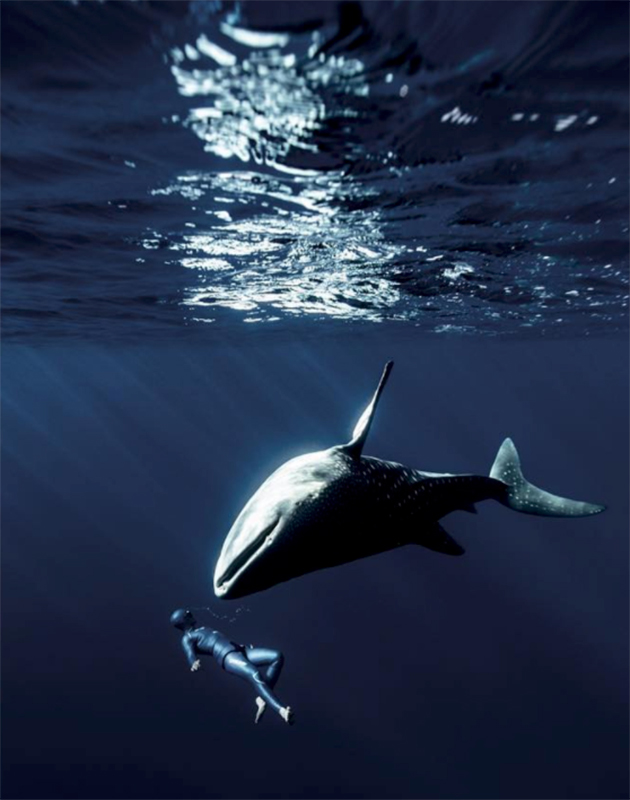 Фридайвинг-фотограф Бастьен Солей — о подводных съемках, лучших фридайвинг-спотах и погоне за счастьем