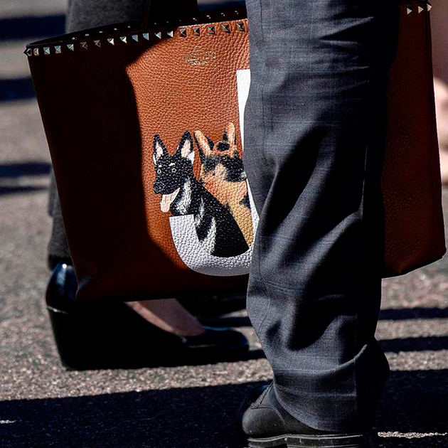 Джилл Байден носит сумку с портретами любимых собак