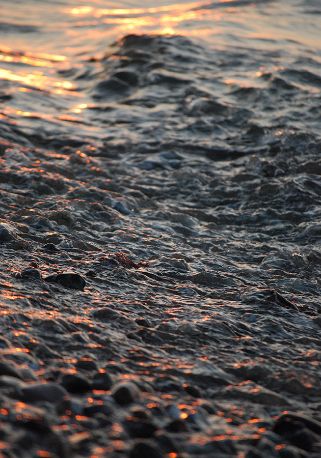 Разлив нефтепродуктов в республике Коми может привести к загрязнению Баренцева моря