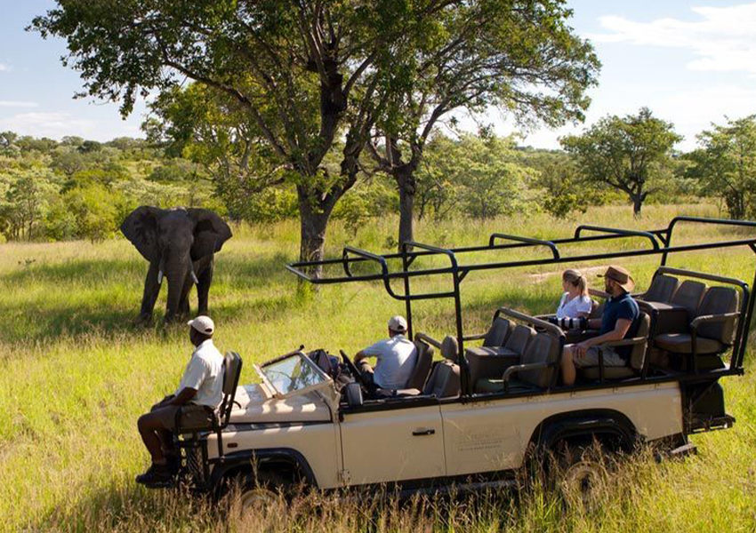 Национальный парк Крюгера в ЮАР