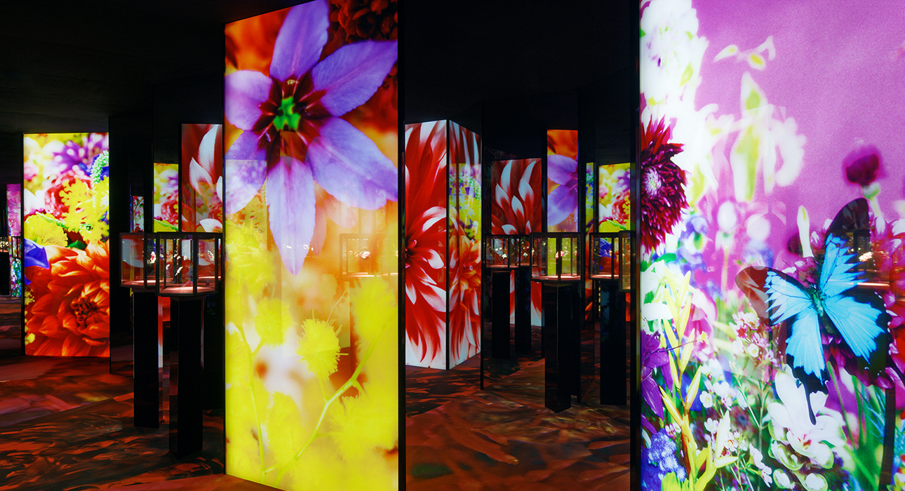 Florae: совместный проект Van Cleef & Arpels и японской художницы Мики Нинагавы