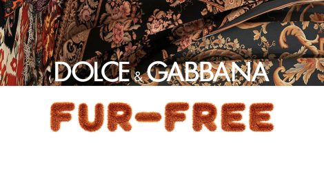 Eco Living: Dolce &amp;&nbsp;Gabbana откажутся от&nbsp;натурального меха в&nbsp;своих коллекциях